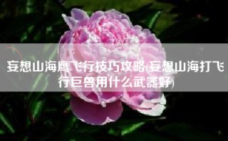 妄想山海鹰飞行技巧攻略(妄想山海打飞行巨兽用什么武器好)