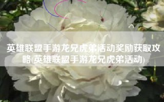 英雄联盟手游龙兄虎弟活动奖励获取攻略(英雄联盟手游龙兄虎弟活动)