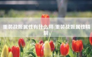 重装战姬属性有什么用(重装战姬属性精制)
