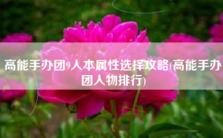 高能手办团9人本属性选择攻略(高能手办团人物排行)