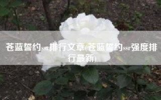 苍蓝誓约ssr排行文章(苍蓝誓约ssr强度排行最新)