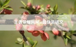 王者荣耀阿珂cd超快装铭文