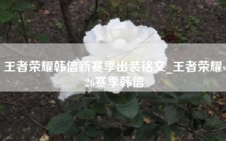 王者荣耀韩信新赛季出装铭文_王者荣耀s26赛季韩信