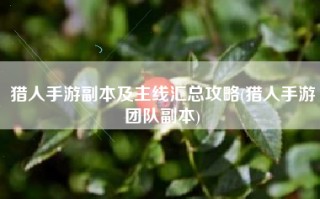 猎人手游副本及主线汇总攻略(猎人手游团队副本)