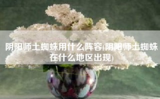 阴阳师土蜘蛛用什么阵容(阴阳师土蜘蛛在什么地区出现)