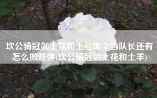 坎公骑冠剑土花和土弓哪个当队长还有怎么搬炸弹(坎公骑冠剑土花和土羊)