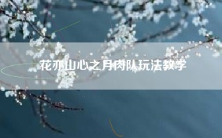 花亦山心之月肉队玩法教学
