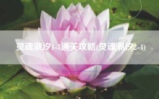灵魂潮汐1-3通关攻略(灵魂潮汐2-4)