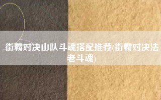 街霸对决山队斗魂搭配推荐(街霸对决法老斗魂)