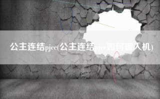 公主连结pjcc(公主连结pjcc如何破人机)