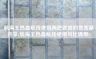 航海王热血航线使用两把武器的他答案共享(航海王热血航线使用可比携带)