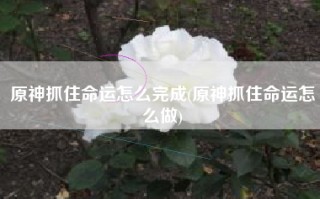 原神抓住命运怎么完成(原神抓住命运怎么做)