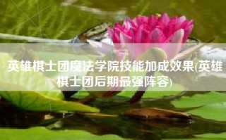 英雄棋士团魔法学院技能加成效果(英雄棋士团后期最强阵容)