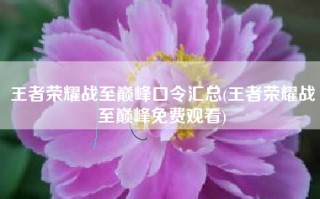 王者荣耀战至巅峰口令汇总(王者荣耀战至巅峰免费观看)