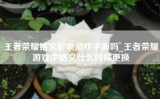 王者荣耀铭文影响游戏平衡吗_王者荣耀游戏中铭文什么时候更换