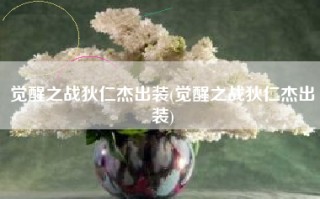 觉醒之战狄仁杰出装(觉醒之战狄仁杰出装)