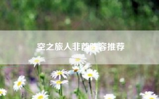 空之旅人非酋阵容推荐