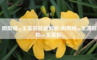 阴阳师sp玉藻前技能解析(阴阳师sp玉藻前和ssr玉藻前)