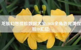 龙族幻想捏脸数据大全(2020全角色完美捏脸ID汇总)