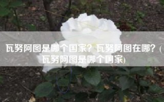 瓦努阿图是哪个国家？瓦努阿图在哪？(瓦努阿图是哪个国家)