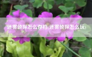 迷雾侦探怎么存档(迷雾侦探怎么玩)