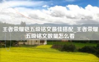 王者荣耀铠五级铭文最佳搭配_王者荣耀五级铭文数量怎么看