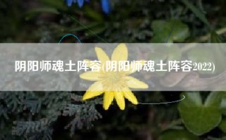 阴阳师魂土阵容(阴阳师魂土阵容2022)