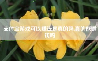 支付宝游戏可以赚钱是真的吗,真的能赚钱吗