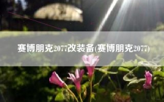 赛博朋克2077改装备(赛博朋克2077)