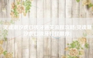 灵魂潮汐虎口拔牙通关流程攻略(灵魂潮汐虎口拔牙打怪顺序)