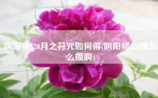阴阳师520月之符咒如何得(阴阳师520抽怎么攒啊)