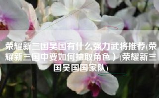 荣耀新三国吴国有什么强力武将推荐(荣耀新三国中要如何抽取角色）(荣耀新三国吴国国家队)