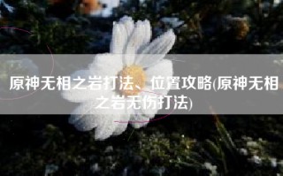 原神无相之岩打法、位置攻略(原神无相之岩无伤打法)