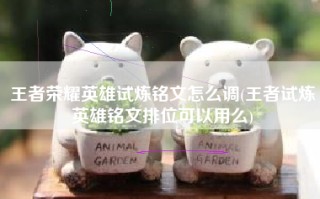 王者荣耀英雄试炼铭文怎么调(王者试炼英雄铭文排位可以用么)