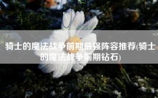 骑士的魔法战争前期最强阵容推荐(骑士的魔法战争前期钻石)