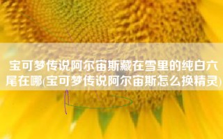 宝可梦传说阿尔宙斯藏在雪里的纯白六尾在哪(宝可梦传说阿尔宙斯怎么换精灵)