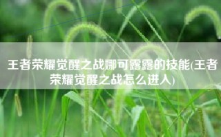 王者荣耀觉醒之战娜可露露的技能(王者荣耀觉醒之战怎么进入)