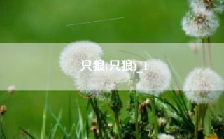 只狼(只狼)_1