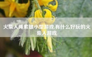 火柴人绳索雄小型游戏,有什么好玩的火柴人游戏