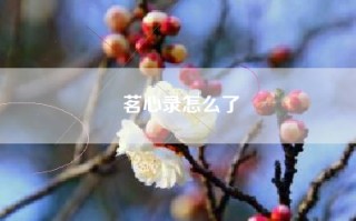 茗心录怎么了