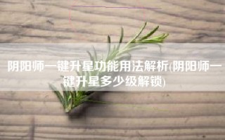阴阳师一键升星功能用法解析(阴阳师一键升星多少级解锁)