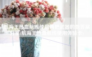 航海王热血航线使用两把武器的他答案分享(航海王热血航线使用体验卡)