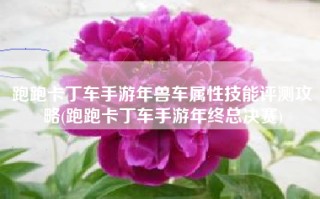 跑跑卡丁车手游年兽车属性技能评测攻略(跑跑卡丁车手游年终总决赛)