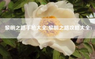 黎明之路手枪大全(黎明之路攻略大全)