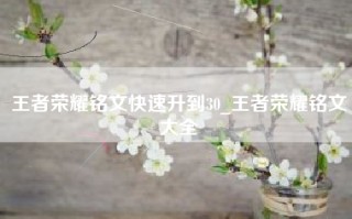 王者荣耀铭文快速升到30_王者荣耀铭文大全