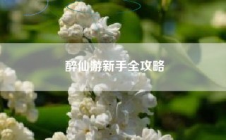 醉仙游新手全攻略