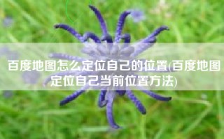 百度地图怎么定位自己的位置(百度地图定位自己当前位置方法)