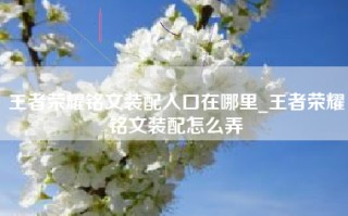 王者荣耀铭文装配入口在哪里_王者荣耀铭文装配怎么弄