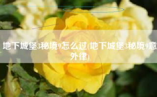 地下城堡3秘境9怎么过(地下城堡3秘境9意外律)