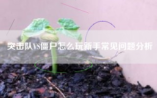 突击队VS僵尸怎么玩新手常见问题分析